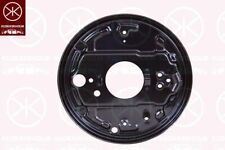 Brake Backing Plate Dust
