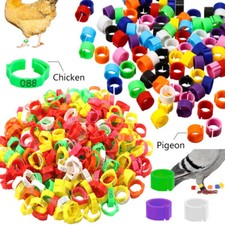 Foot Rings Chick Duck Birds