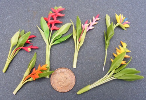 Single bird paradise - paradise, flower