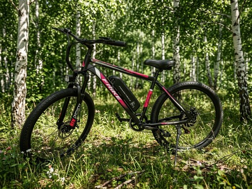 Inch eapc bike 250w 36v - 26,