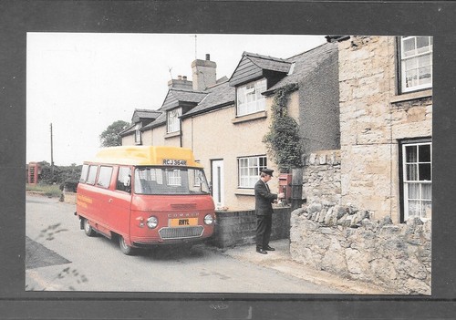 Postcard rhyl meriadog - postcard,