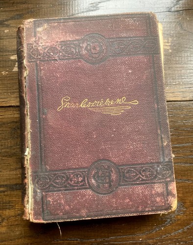 Vintage illustrated pickwick - vintage,
