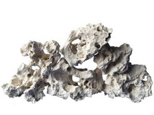 Aqarium Ocean Rock Malawi