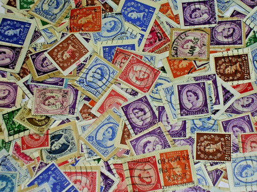 1000 genuine wildings - 1000~gb,