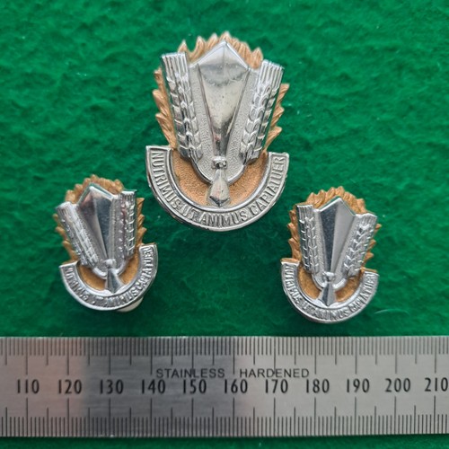 South african army catering - south,