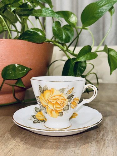 Royal windsor yellow - royal, rose