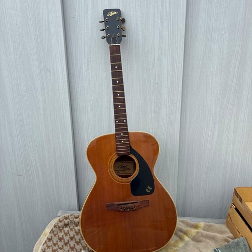Aria acoustic guitar folk - guitar,
