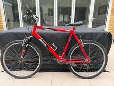 Mountain Bike - Raleigh