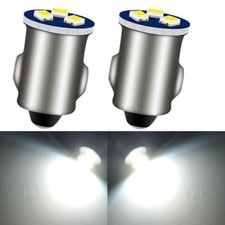 2Pcs 12V Clear Filament Bulbs