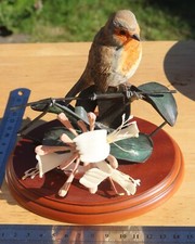 (1012) Border Fine Arts Robin