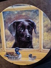 Black labrador collectors