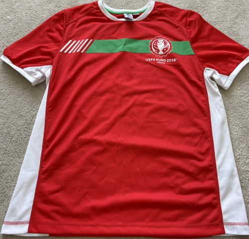 Uefa euro 2016 wales home - 2016,