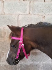 Half crown BRIDLE Shetland, Small Pony, Pony, Cob, F/S. Synthetic web washable