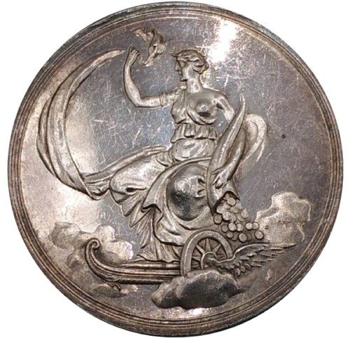 Silver fortuna - silver,