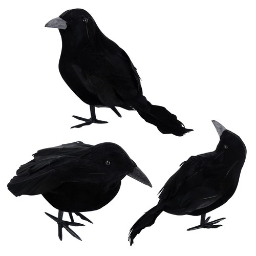 Pack halloween crows - 3,