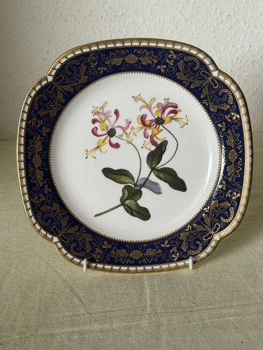 Spode the cabinet collection - spode,