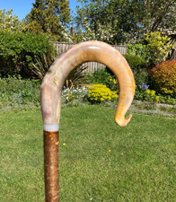 Lovely Rams Horn crook on
