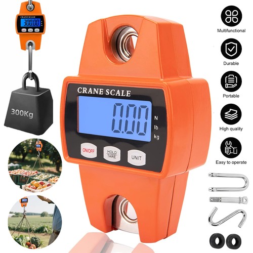 300kg crane scale hanging - 300kg,
