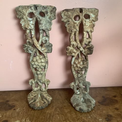 Cast iron grape vine - grape,