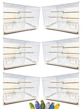 Case of 6 Aviary Canary