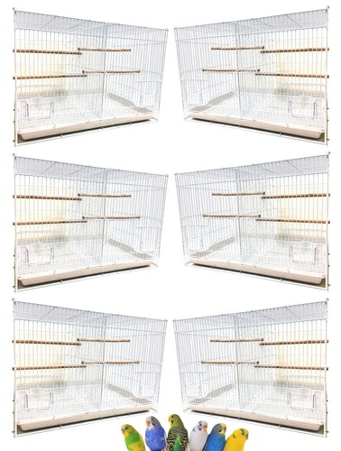 Case aviary canary - of,