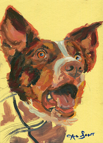 7x5 brown collie - brown, dog
