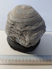 Suiseki Viewing Natural Stone