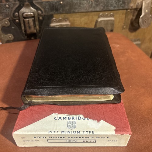 Cambridge vintage pitt minion - pitt,