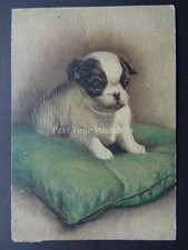 JAPANESE SPANIEL Puppy Dog on Cushion c1940's Postcard by Godfrey Phillips