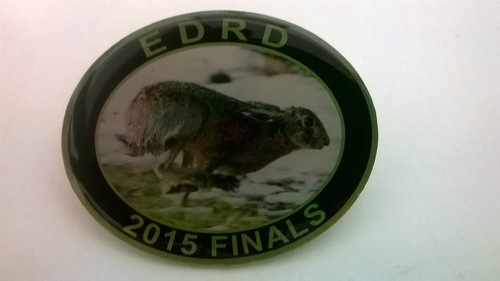 Earth dog running - earth,