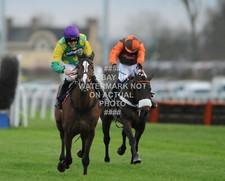 Kauto star ruby - kauto, 2011