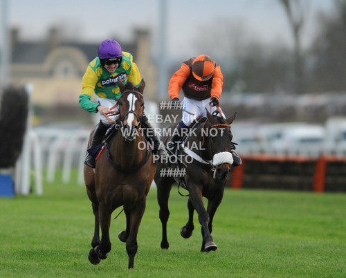 Kauto star ruby - walsh, 2011