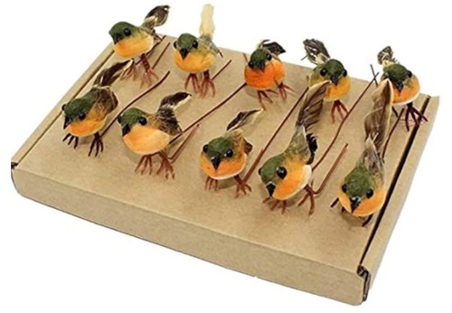 Minature robin bird - 10, x