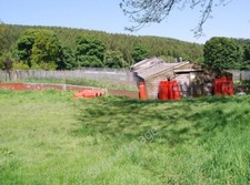 Photo 6x4 Game bird rearing