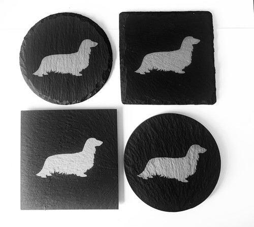 Dachshund long coat - long,