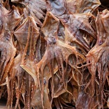 Dried Octopus