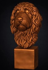 Barbet Bust