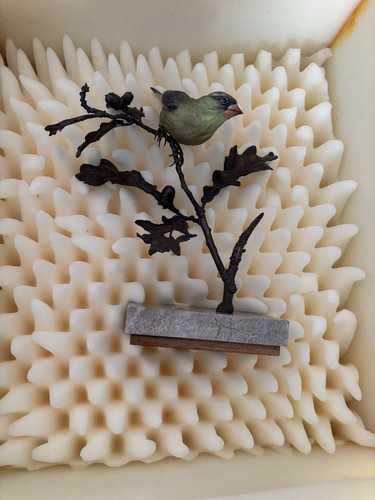 Albany greenfinch part - greenfinch,, of