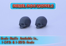 Scale Skulls, Resin, 1-24th