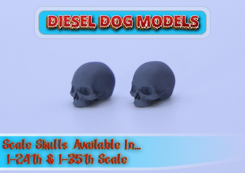 Scale skulls resin 1 - scale, 1-24th