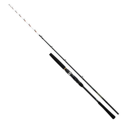 Daiwa boat rod - boat,