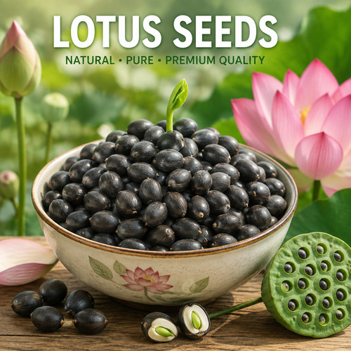 20x seeds lotus - lotus, flower
