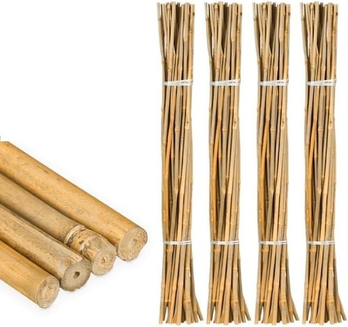 Natural bamboo plant support - bamboo,