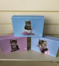 1 X PAPER NOTELETS IN KITTEN