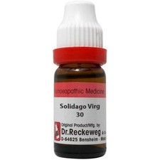 Dr Reckeweg Solidago Virg 30