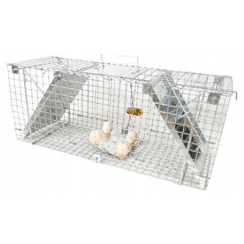 Live trap for martens rats - martens,
