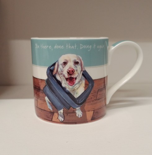 Little dog laughed bone - little,