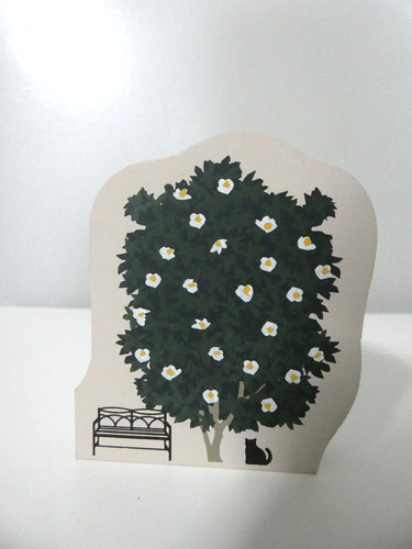 Cat meow dogwood tree - dogwood,