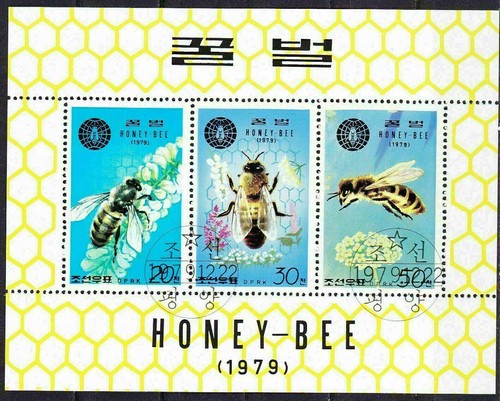 Bees beautiful block honey bee - beautiful, honey-bee