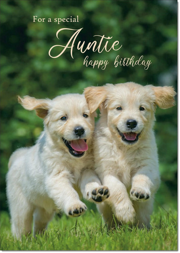 Doodlecards auntie birthday - doodlecards,